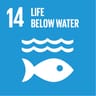 SDG 14: Life Below Water